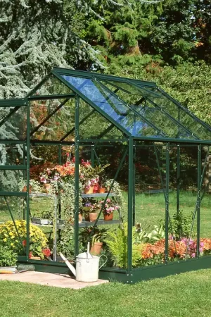 Direct Beschikbaar Royal Well Tuinkas Popular 66 Veiligheidsglas Groen Gecoat